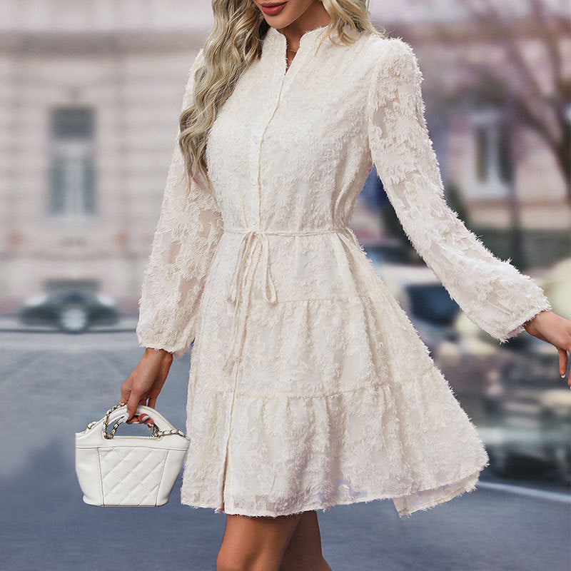 Lace Tie Long Sleeve A-Line Dress for Women