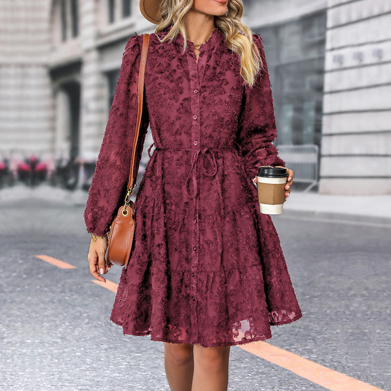 Lace Tie Long Sleeve A-Line Dress for Women