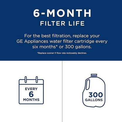 GE RPWFE Refrigerator Water Filter,Easy installation,White